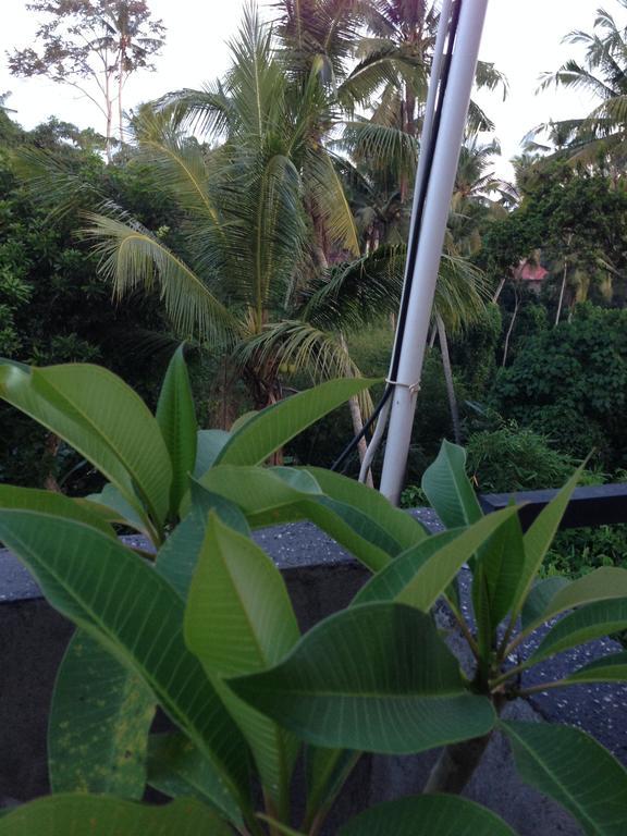 Cebluk Sari Leilighet Ubud Eksteriør bilde